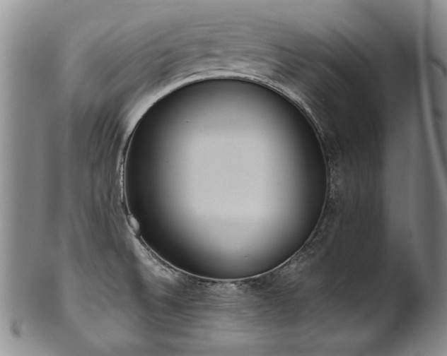 X0000102471524200808081238
