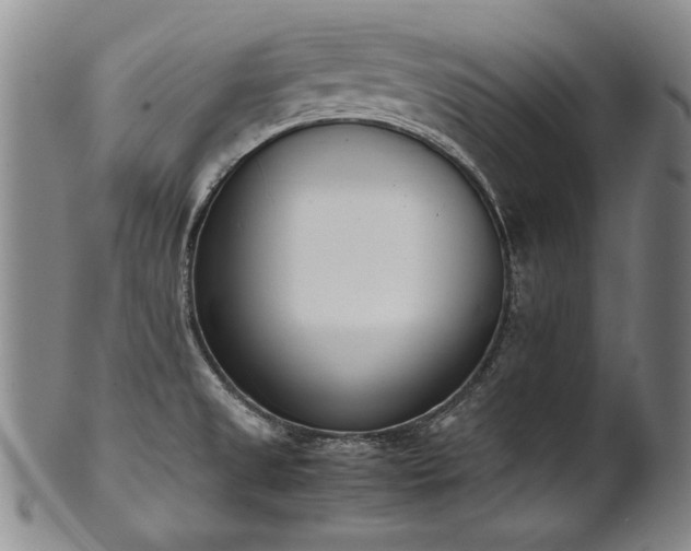 X0000102471525200808081238