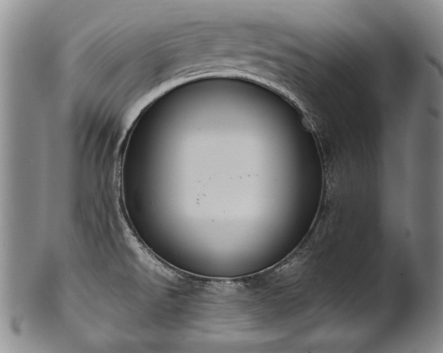 X0000102471526200808081238
