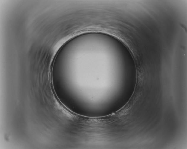X0000102471527200808081238