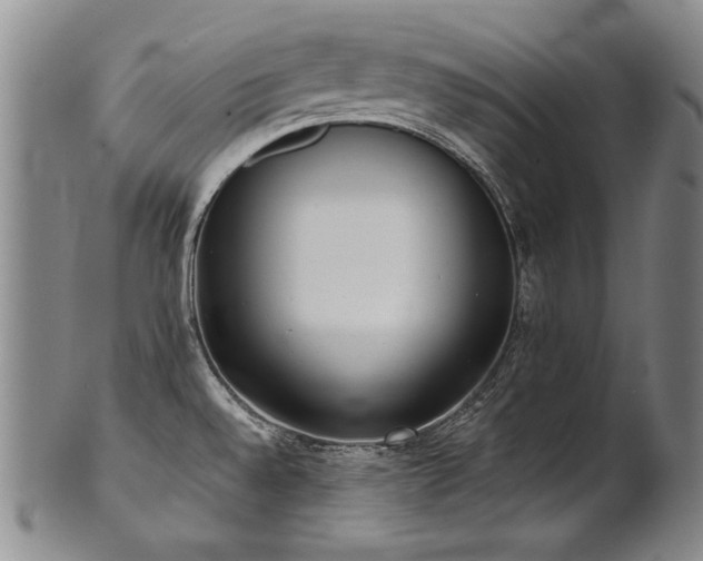 X0000102471528200808081238