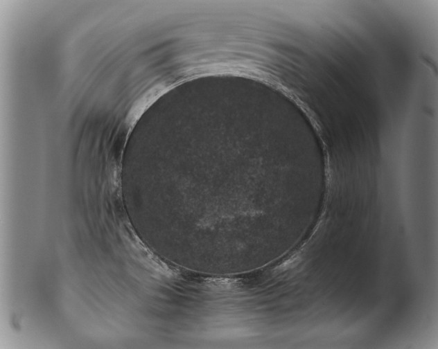 X0000102471529200808081238