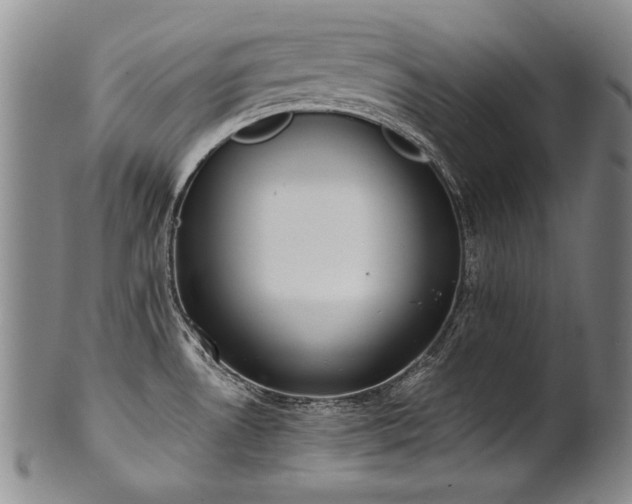 X0000102471530200808081238