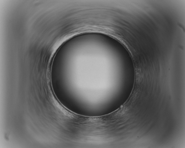 X0000102471531200808081238
