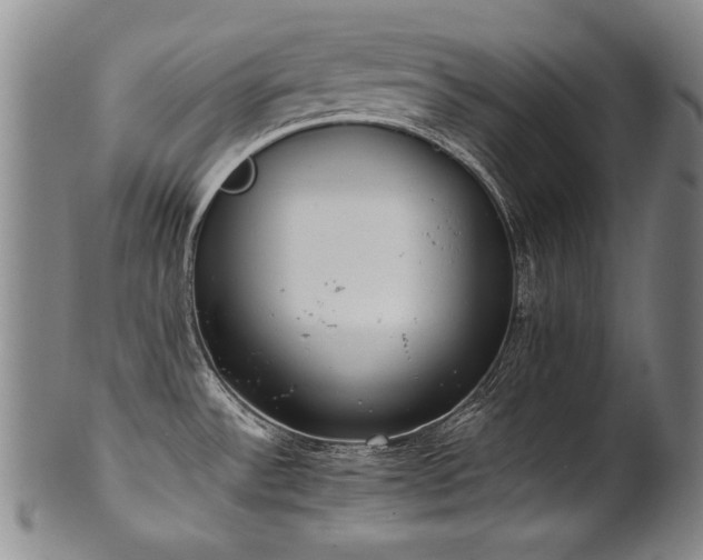 X0000102471532200808081238
