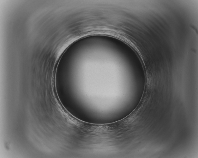 X0000102471533200808081238