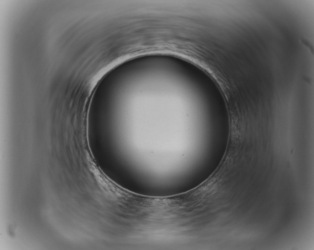 X0000102471534200808081238
