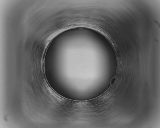 X0000102471535200808081238