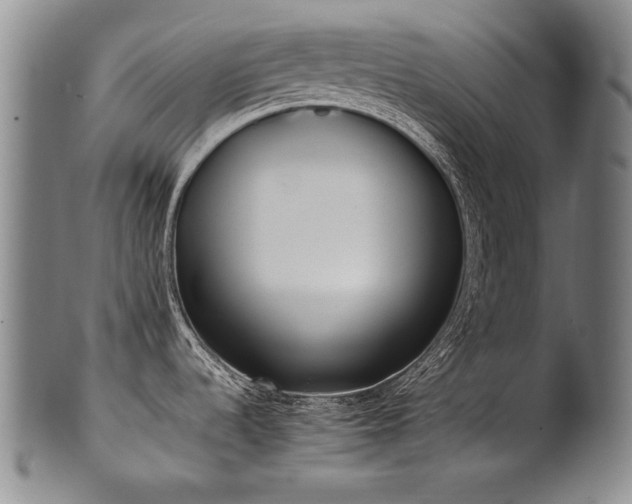 X0000102471536200808081238