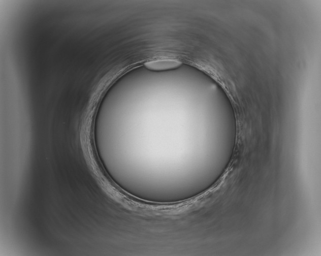 X0000102470001200808151438