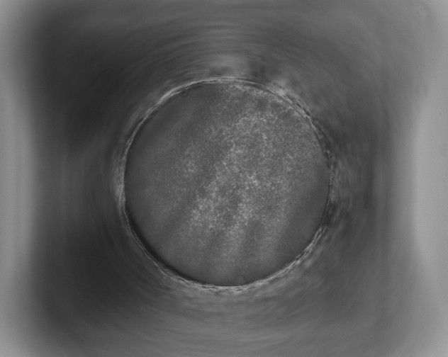 X0000102470002200808151438