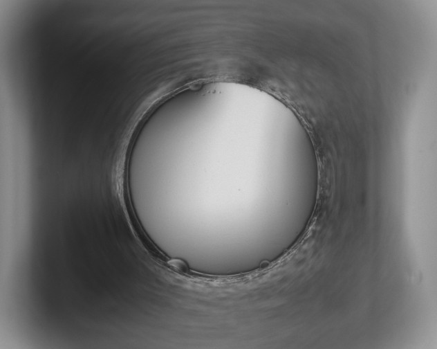 X0000102470003200808151438