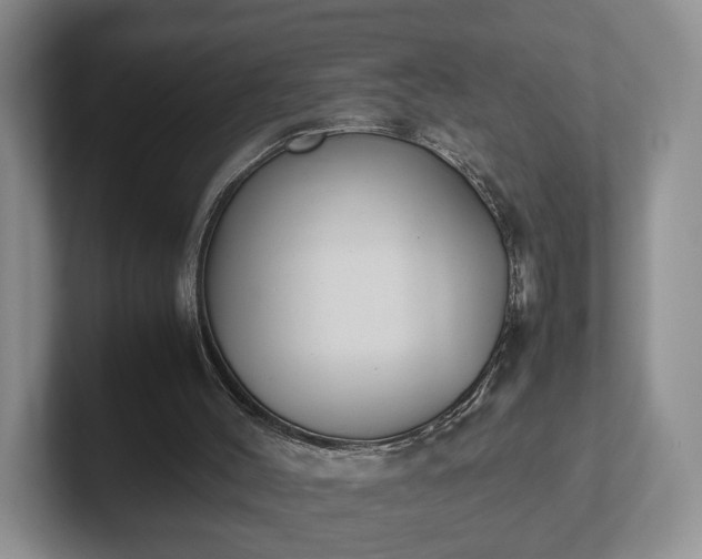 X0000102470004200808151438