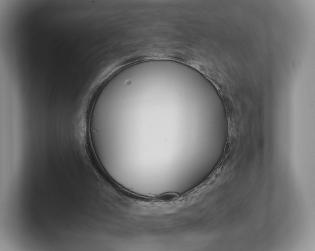 X0000102470005200808151438