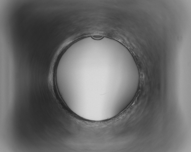 X0000102470006200808151438