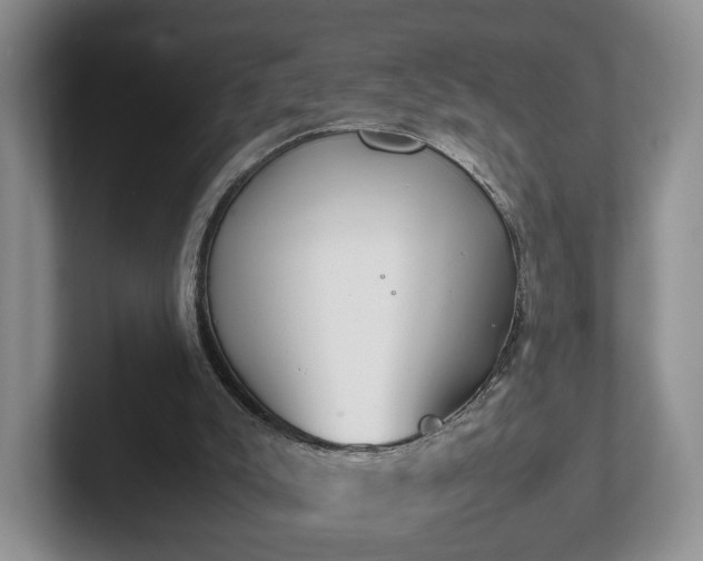 X0000102470007200808151438