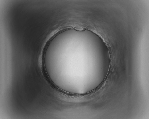 X0000102470008200808151438