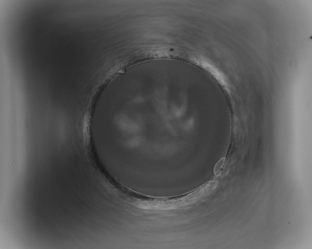 X0000102470009200808151438