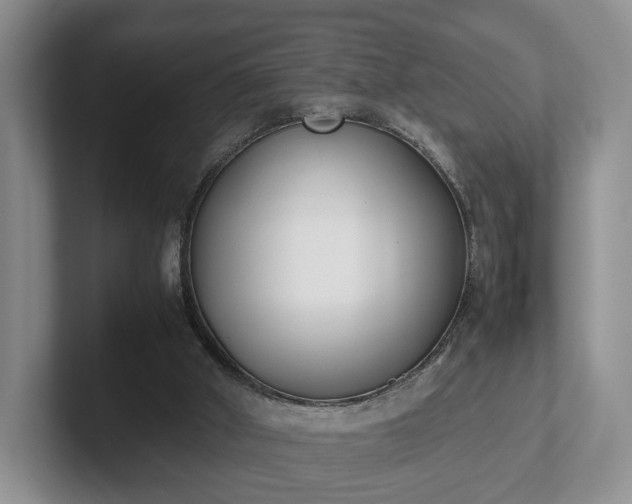 X0000102470010200808151438