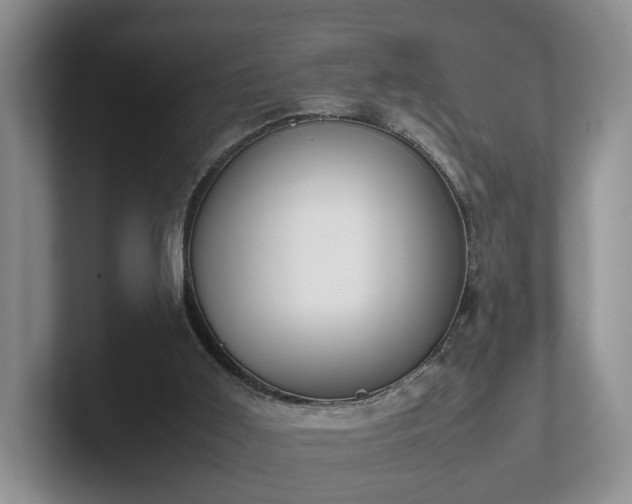 X0000102470011200808151438