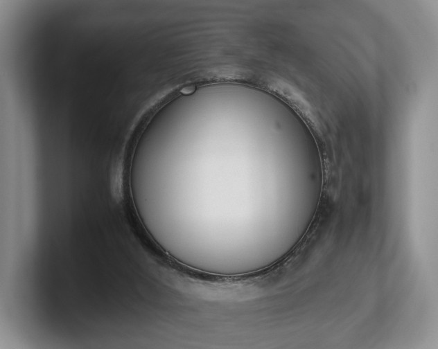 X0000102470012200808151438