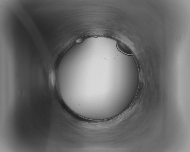 X0000102470013200808151438