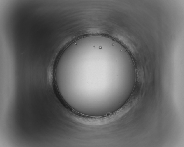 X0000102470015200808151438