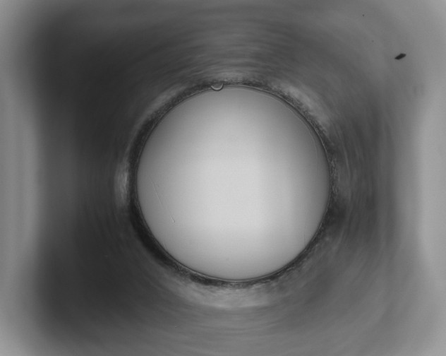 X0000102470016200808151438