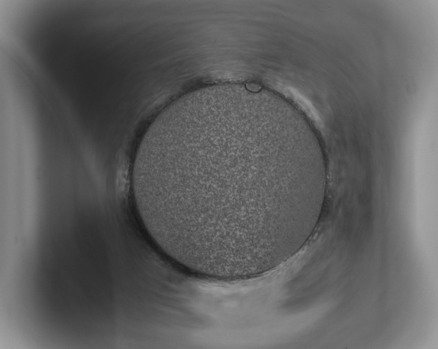 X0000102470017200808151438