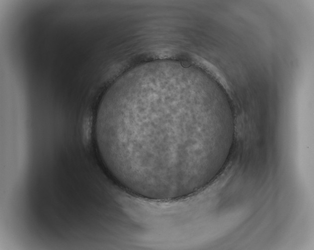 X0000102470018200808151438