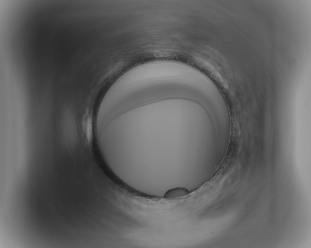 X0000102470019200808151438