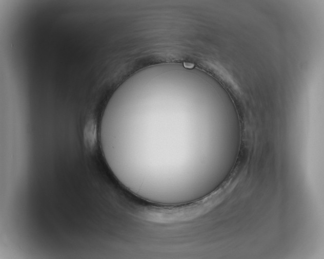 X0000102470021200808151438