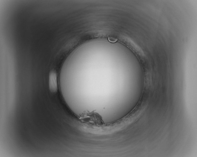 X0000102470022200808151438