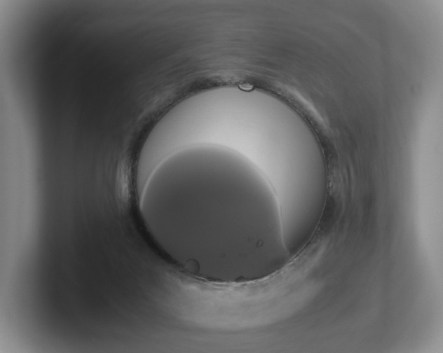 X0000102470023200808151438