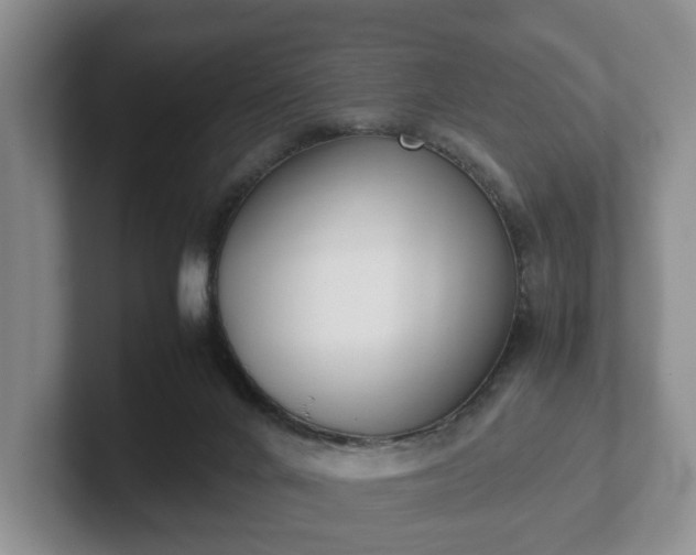 X0000102470024200808151438