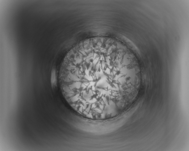 X0000102470026200808151438