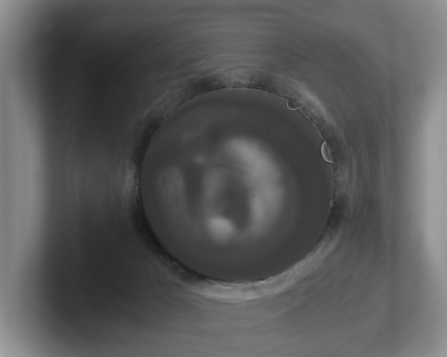 X0000102470029200808151438