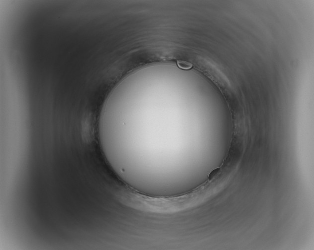 X0000102470030200808151438