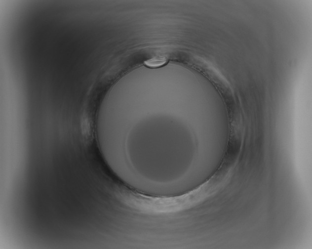 X0000102470031200808151438