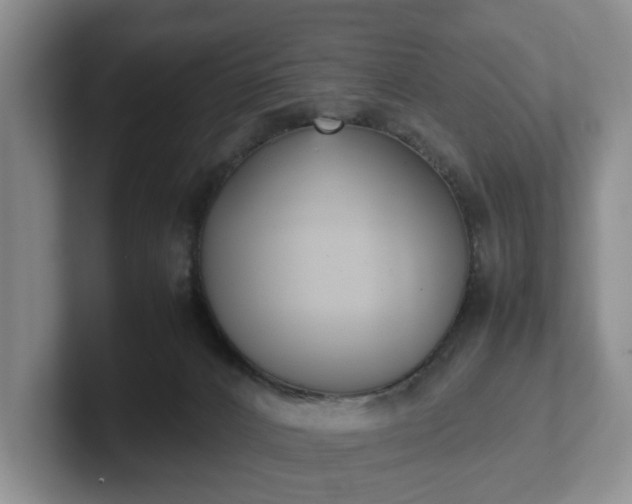 X0000102470032200808151438