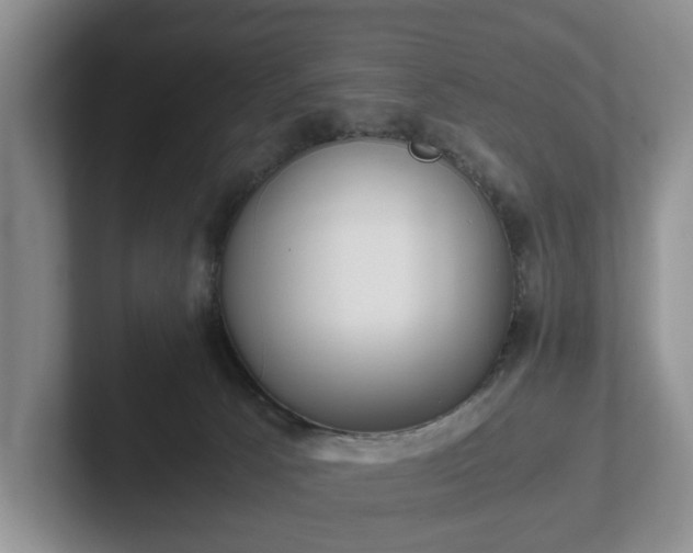 X0000102470033200808151438