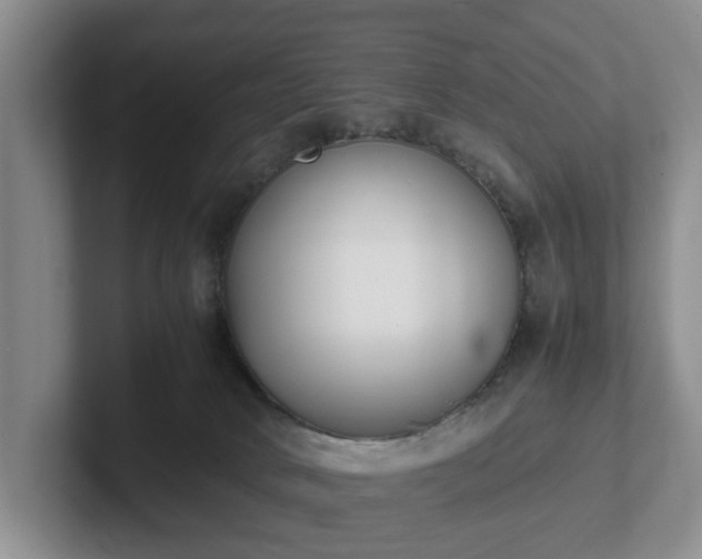 X0000102470034200808151438