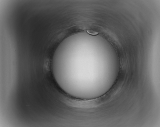 X0000102470036200808151438
