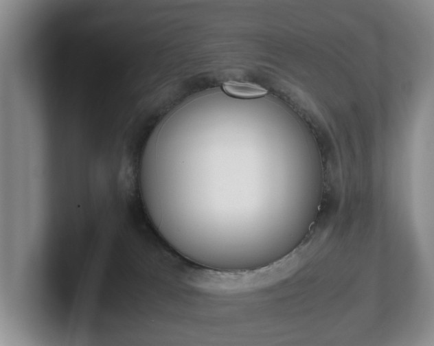 X0000102470037200808151438