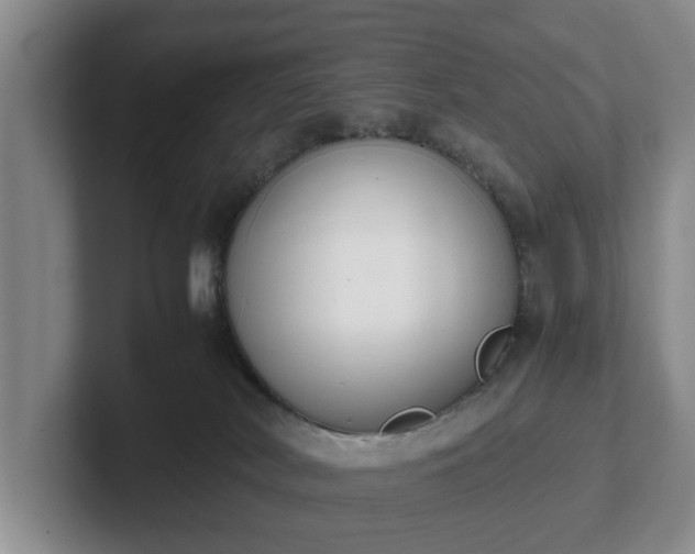 X0000102470038200808151438