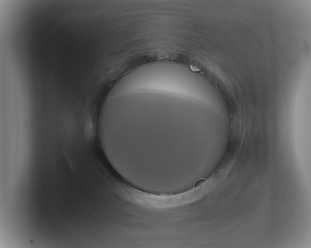 X0000102470039200808151438