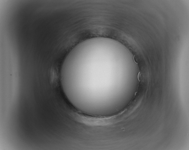 X0000102470040200808151438