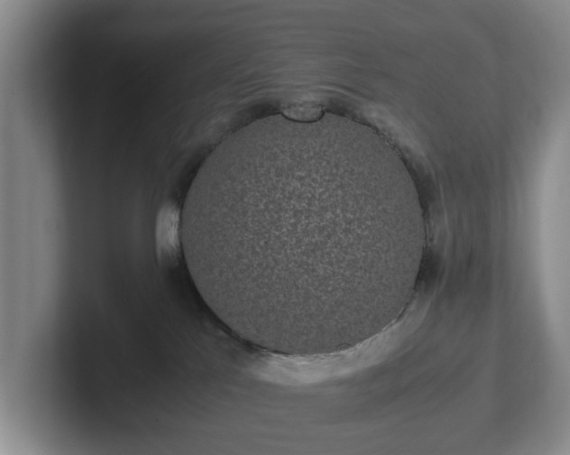X0000102470041200808151438