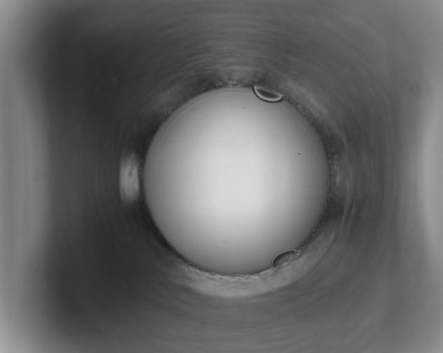 X0000102470042200808151438