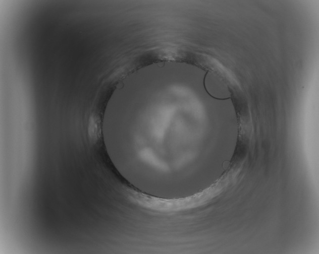 X0000102470043200808151438